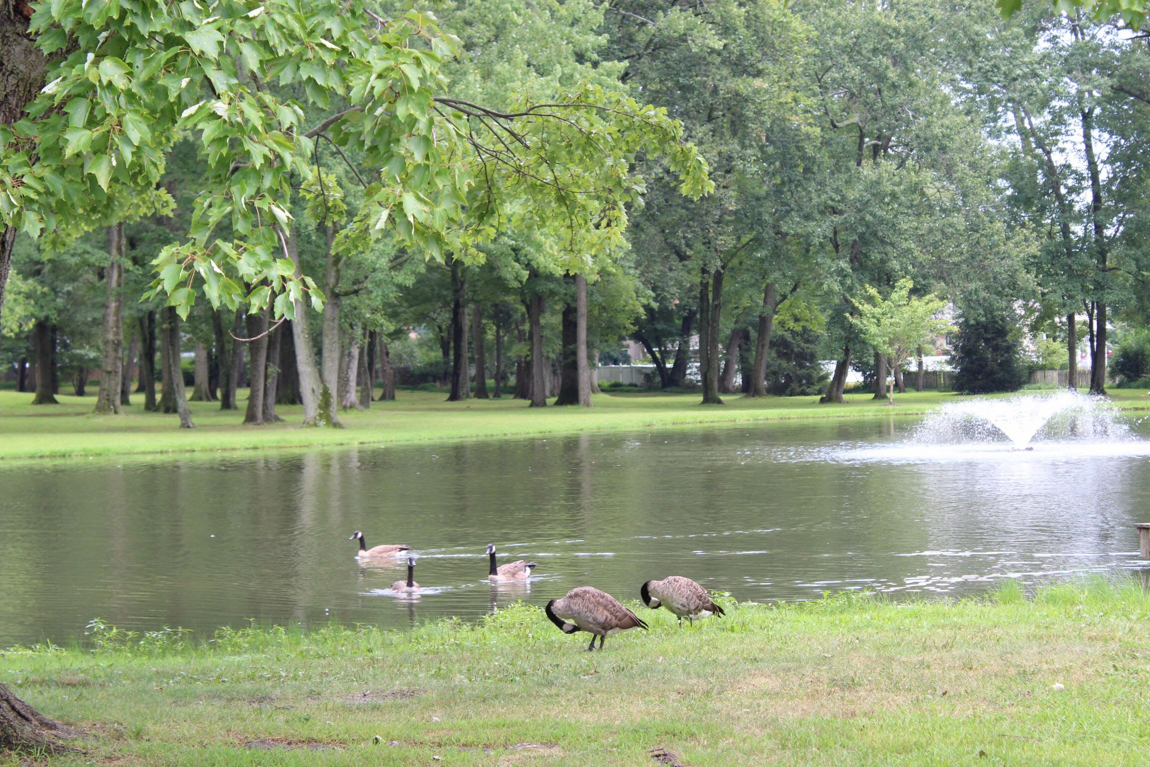 Pequannock Township, NJ Photo Gallery